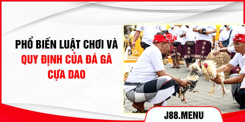 Phổ biến luật chơi và quy định của đá gà cựa dao